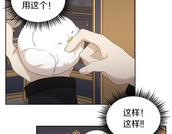 第5话 不一样的宠物 第35页
