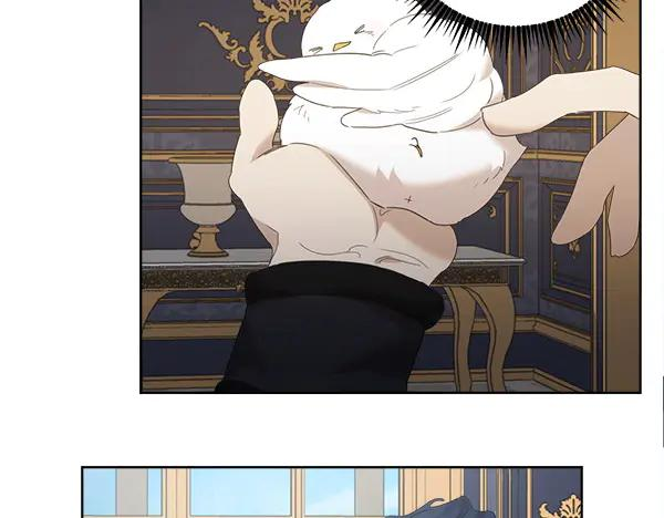 第5话 不一样的宠物 第36页