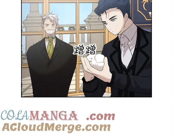 第5话 不一样的宠物 第37页