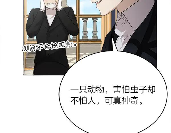 第5话 不一样的宠物 第42页