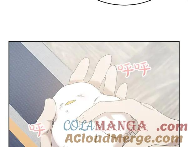 第5话 不一样的宠物 第43页
