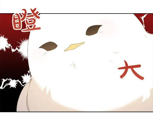 第5话 不一样的宠物 第45页