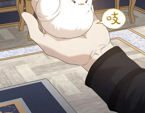 第5话 不一样的宠物 第47页