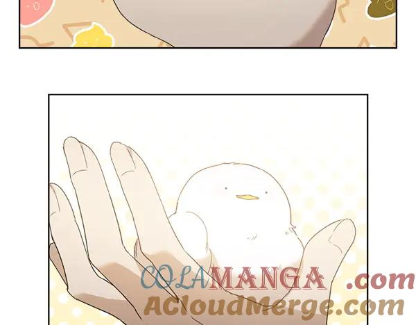 第5话 不一样的宠物 第58页