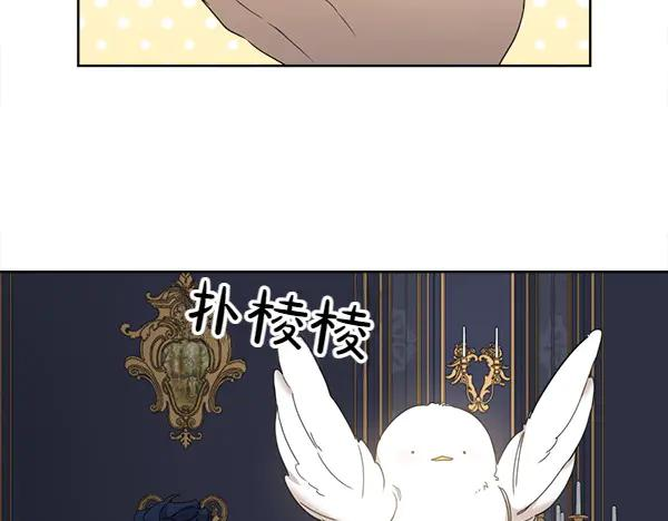 第5话 不一样的宠物 第59页
