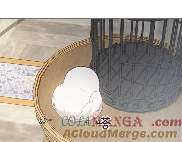 第5话 不一样的宠物 第61页