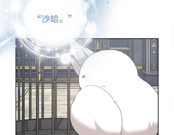 第5话 不一样的宠物 第69页