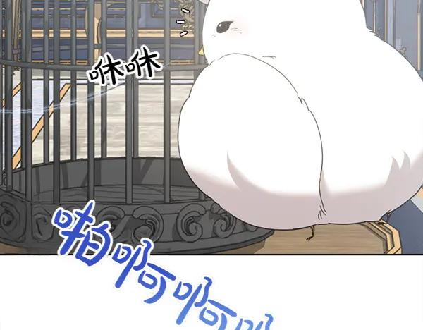 第5话 不一样的宠物 第71页