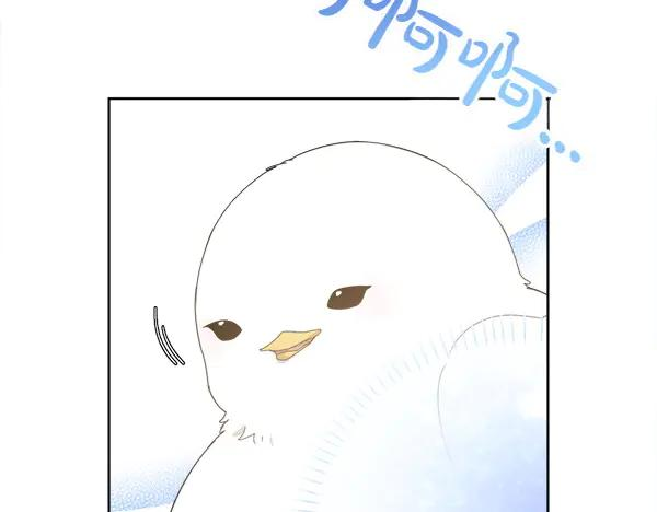 第5话 不一样的宠物 第72页
