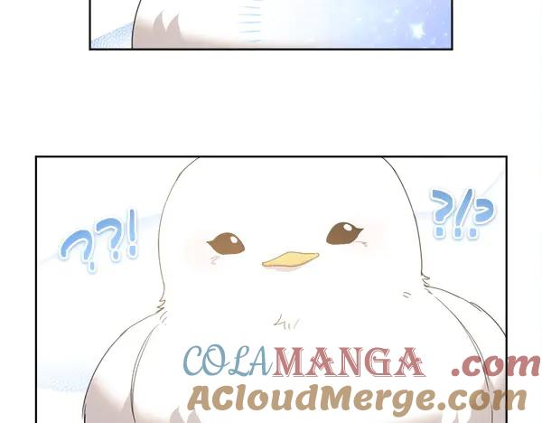 第5话 不一样的宠物 第73页