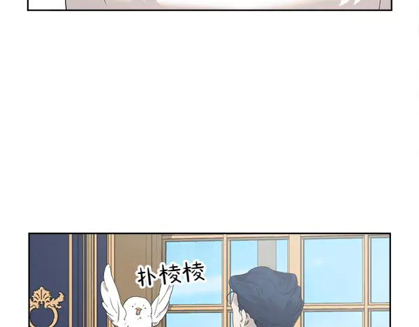 第5话 不一样的宠物 第74页