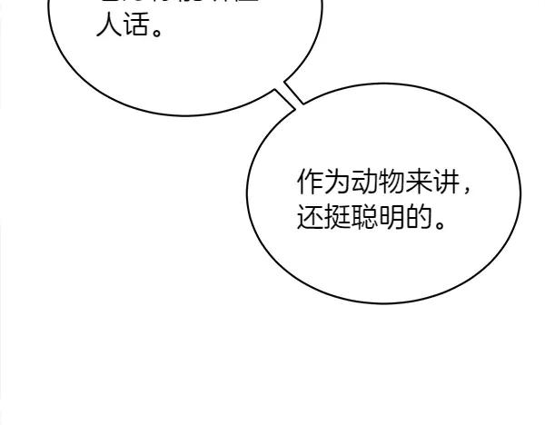 第5话 不一样的宠物 第80页