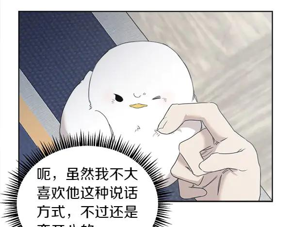 第5话 不一样的宠物 第81页