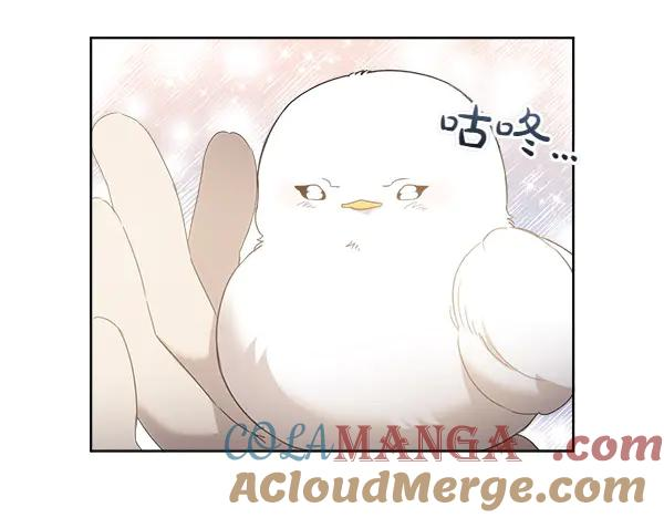 第5话 不一样的宠物 第94页