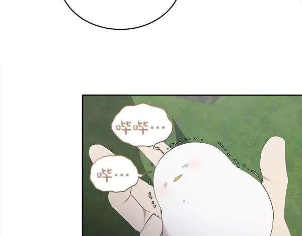 第11话 原来是这样！ 第12页