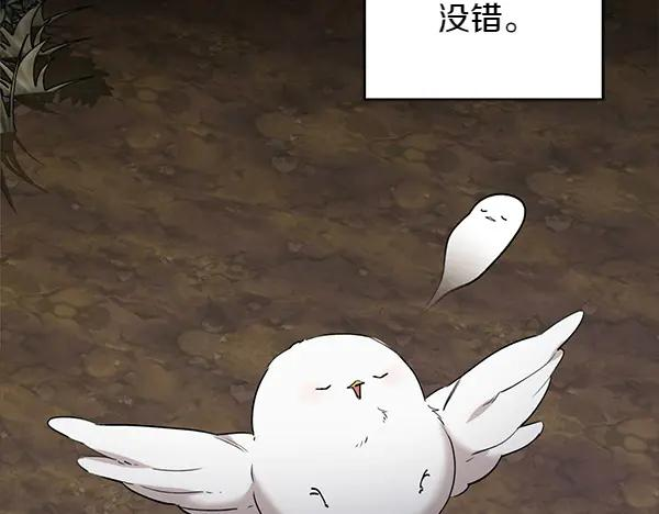 第11话 原来是这样！ 第39页