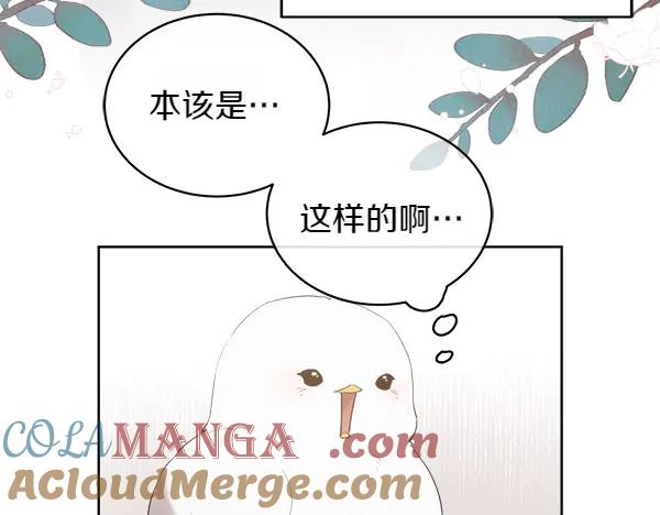 第11话 原来是这样！ 第81页