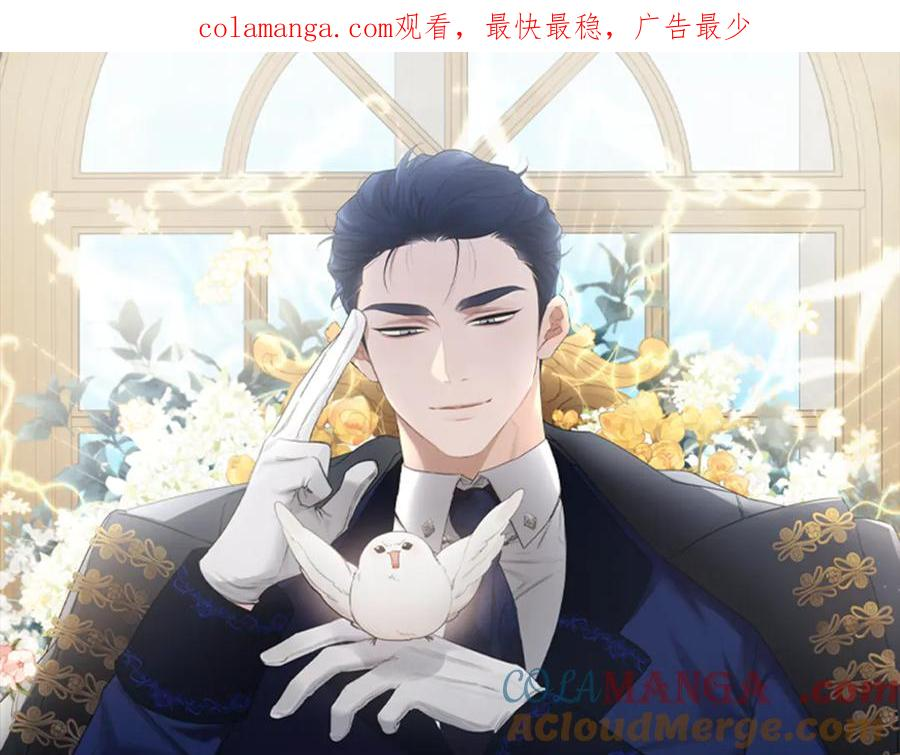 第14话 嘲笑小鸟 第1页