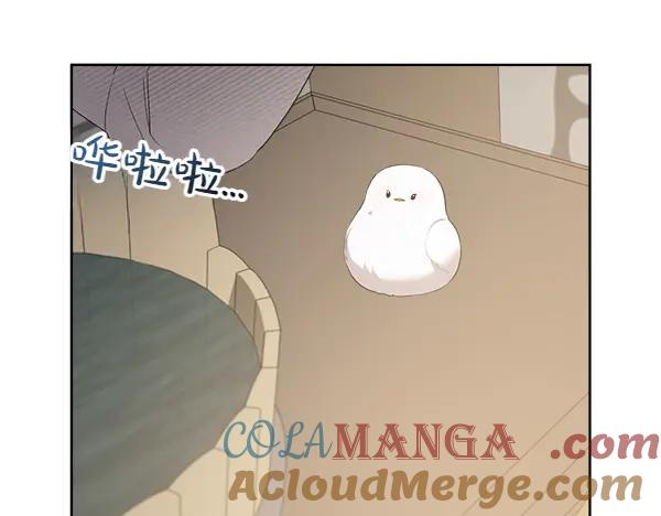 第14话 嘲笑小鸟 第10页