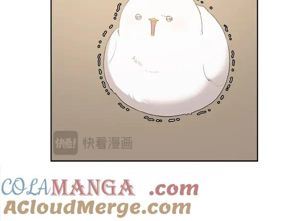第14话 嘲笑小鸟 第16页