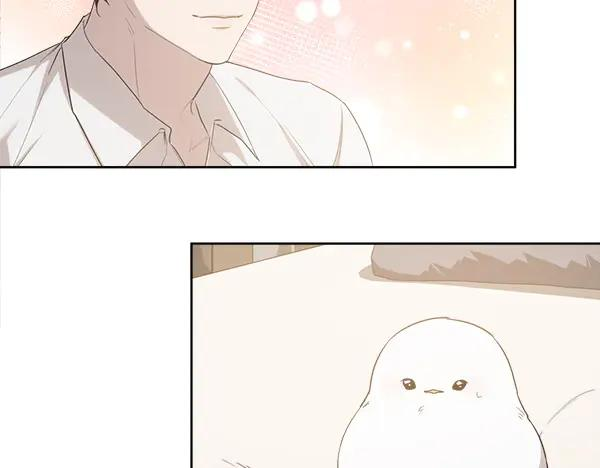 第14话 嘲笑小鸟 第33页