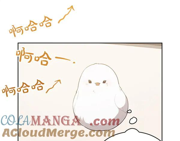 第14话 嘲笑小鸟 第37页