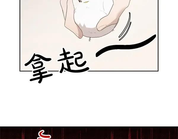 第14话 嘲笑小鸟 第50页