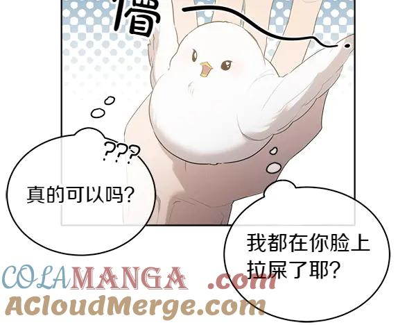 第14话 嘲笑小鸟 第64页
