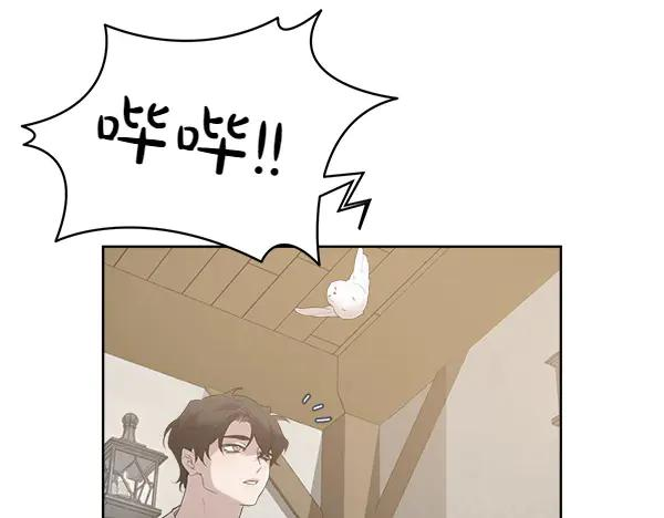 第14话 嘲笑小鸟 第71页
