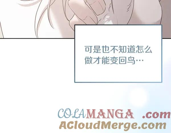 第23话 那人的身份 第157页