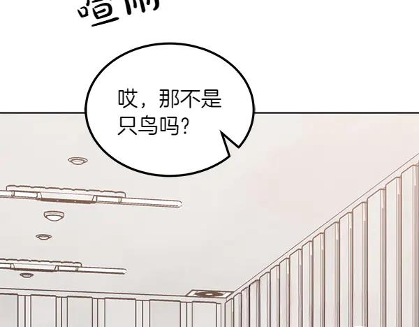 第27话 梦里的小鸟 第48页