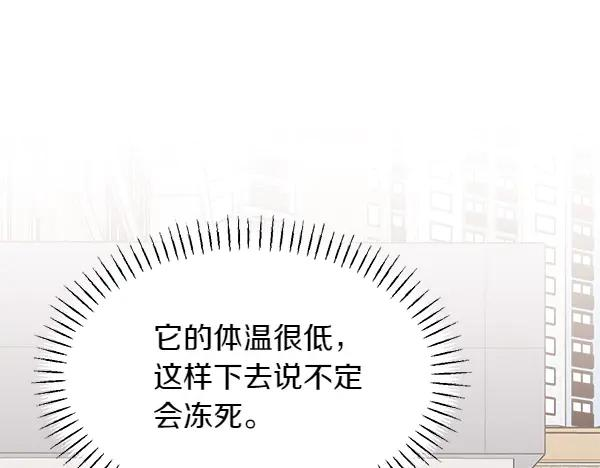 第27话 梦里的小鸟 第76页