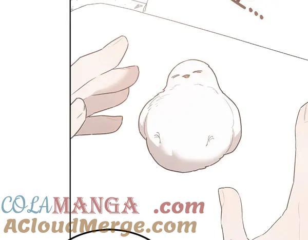 第27话 梦里的小鸟 第105页