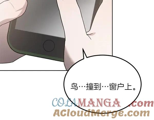 第27话 梦里的小鸟 第113页