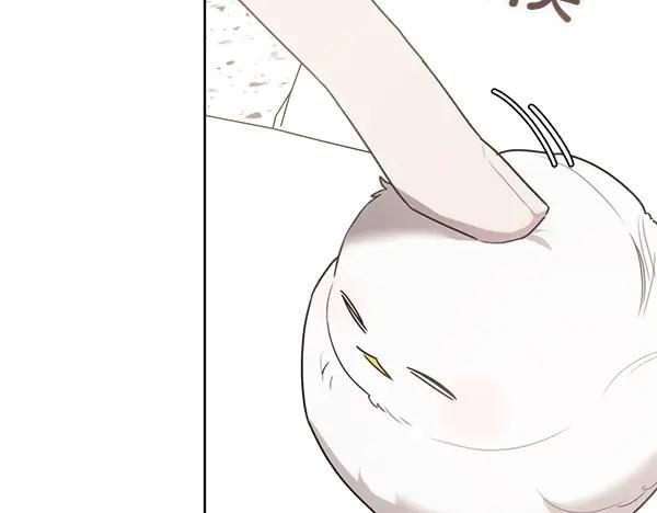 第27话 梦里的小鸟 第118页