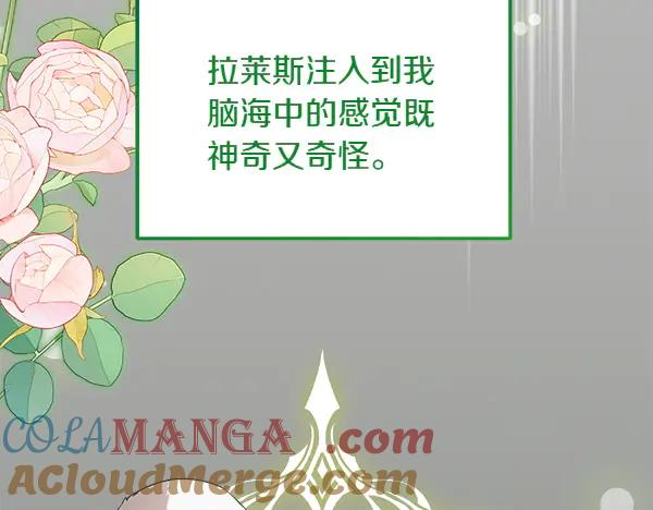 第31话 迫在眉睫 第205页