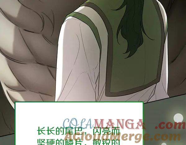 第31话 迫在眉睫 第213页