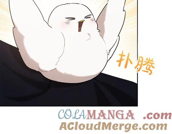 第36话 未见过的画面 第197页