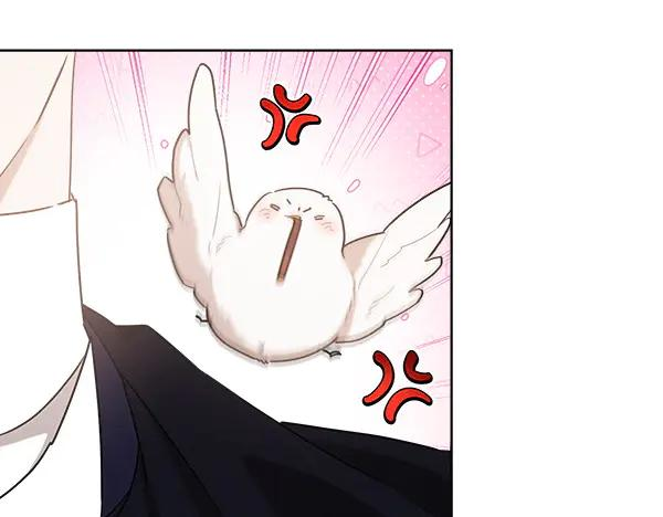 第36话 未见过的画面 第211页