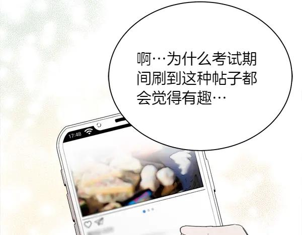 第1话 有趣的帖子 第15页