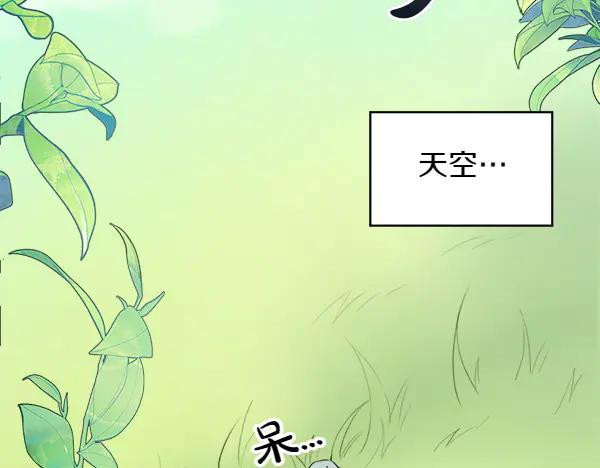 第1话 有趣的帖子 第71页