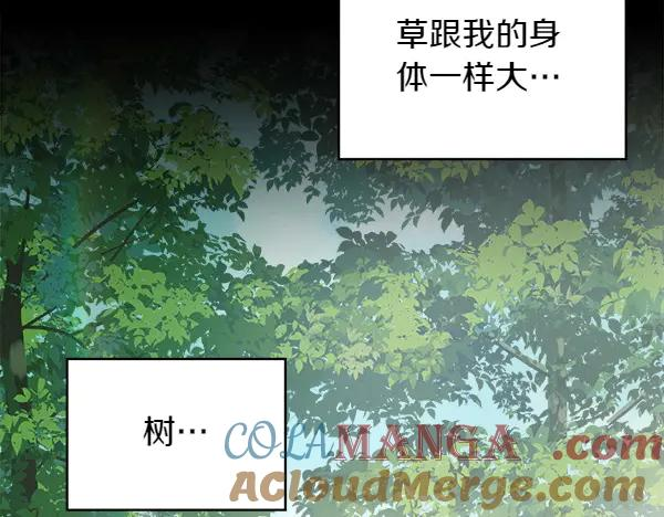 第1话 有趣的帖子 第81页