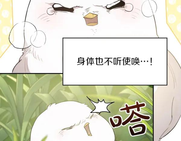 第1话 有趣的帖子 第91页