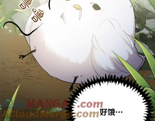 第1话 有趣的帖子 第113页