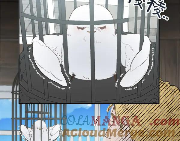 第1话 有趣的帖子 第137页
