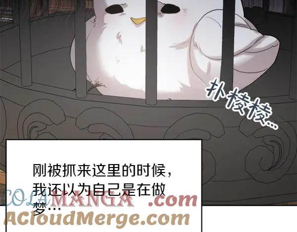 第1话 有趣的帖子 第165页