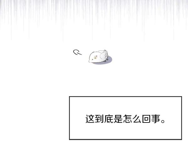 第1话 有趣的帖子 第172页
