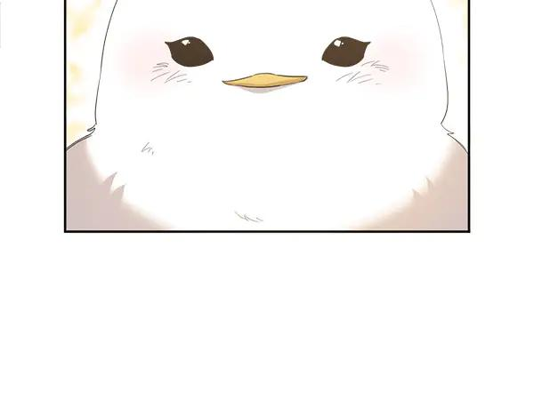 第6话 想吃肉 第16页