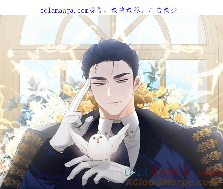 第7话 捣乱小鸟 第1页