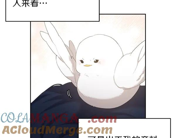 第7话 捣乱小鸟 第9页